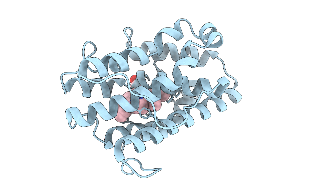 1J77 image