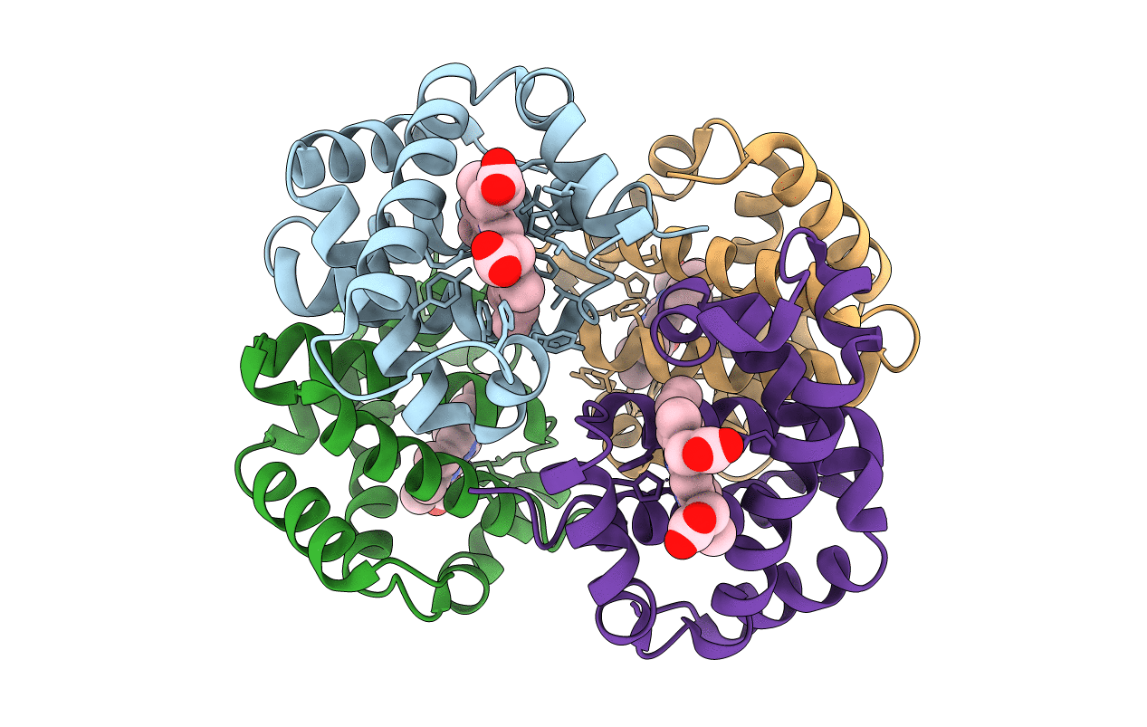 1J7S image