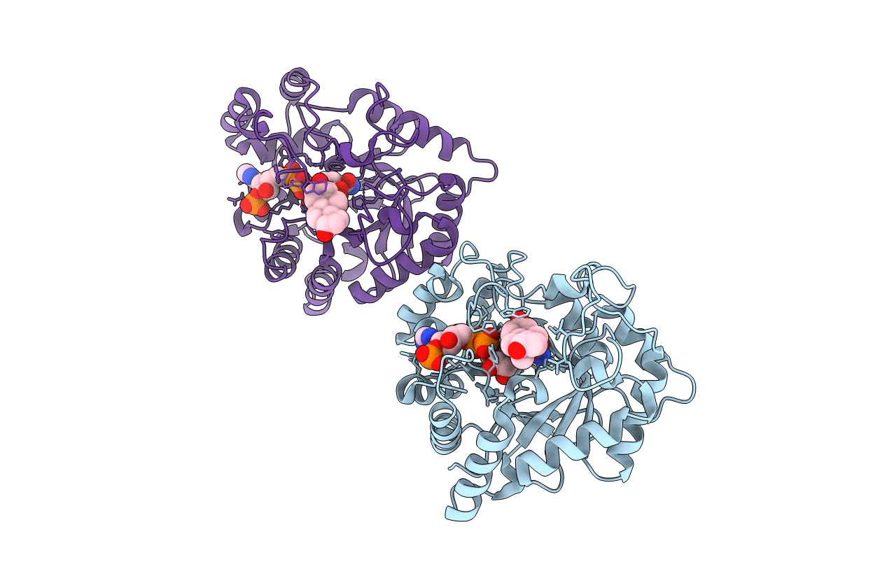 1J96 image