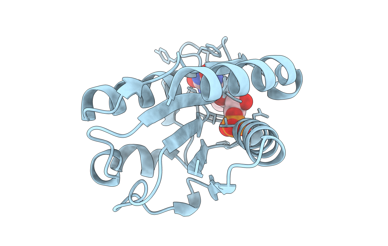 1J9E image