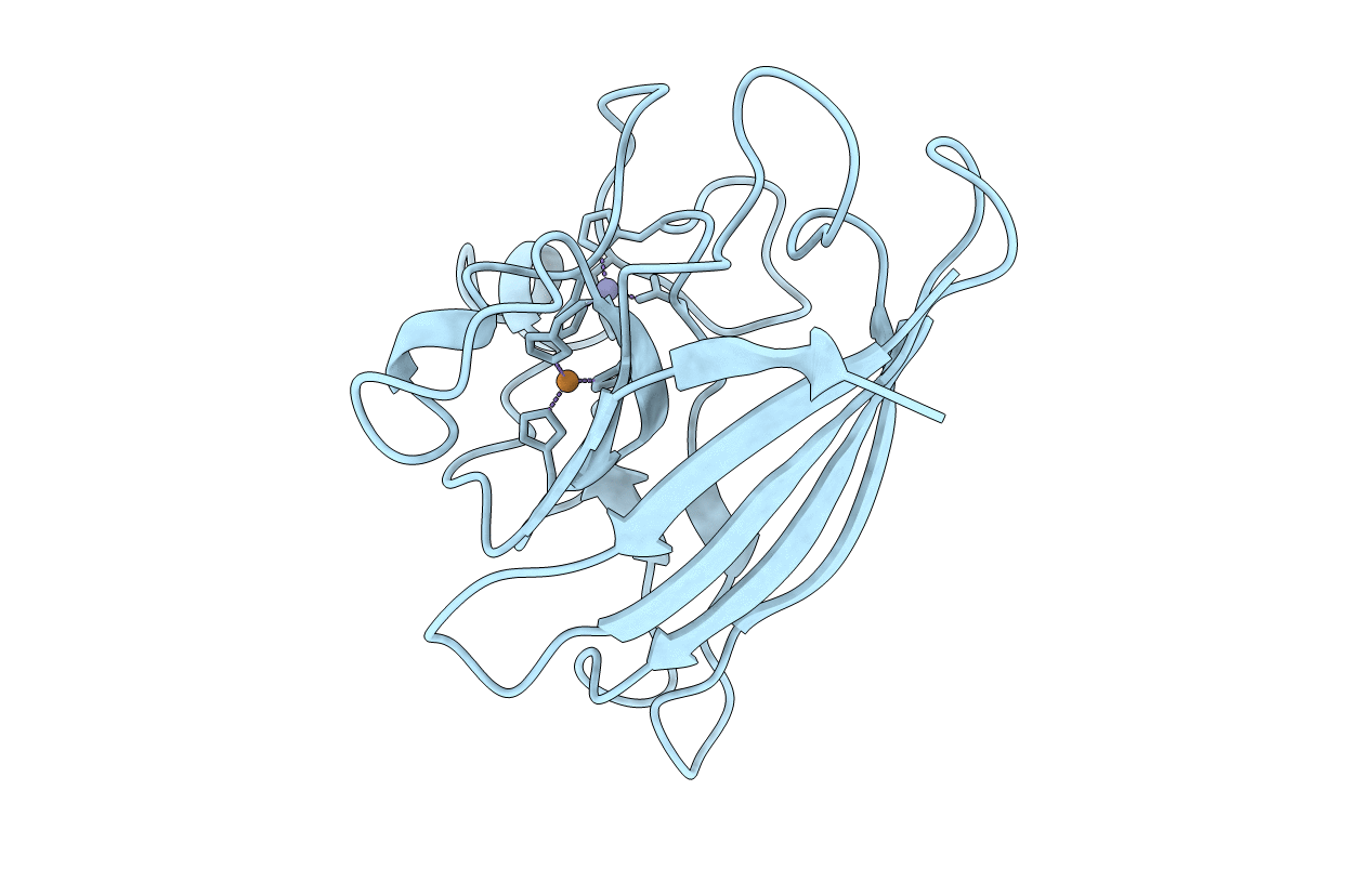 1JCV image