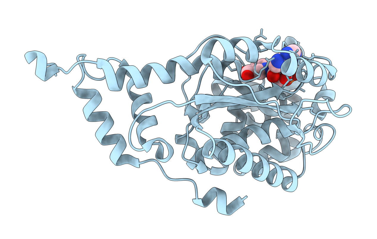 1JHA image
