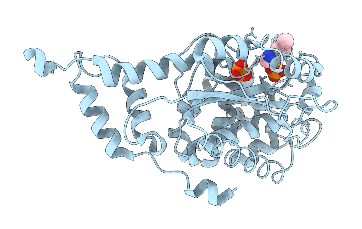 1JHP image