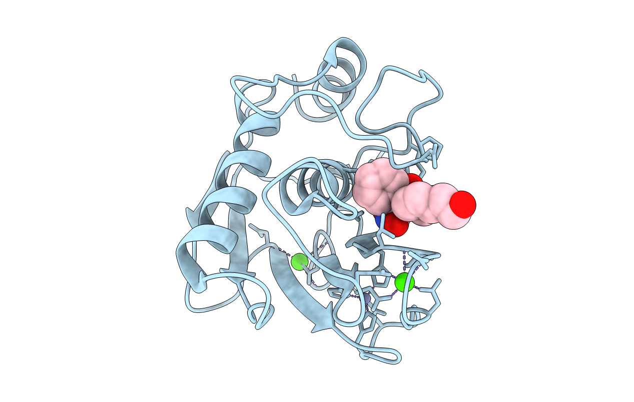 1JJ9 image
