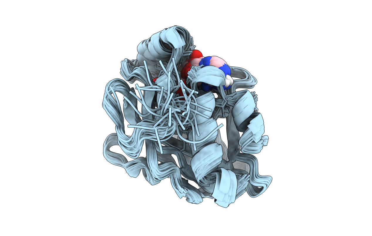 1JKN image