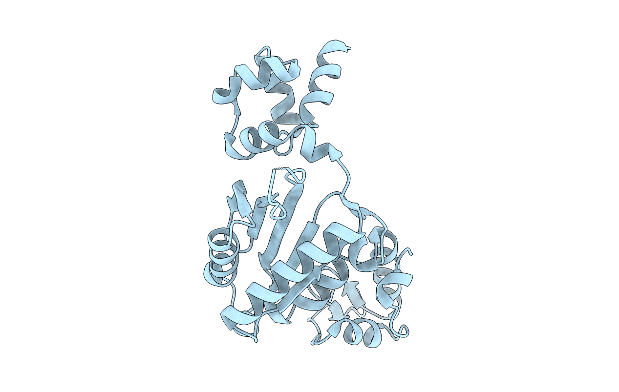 1JN3 image