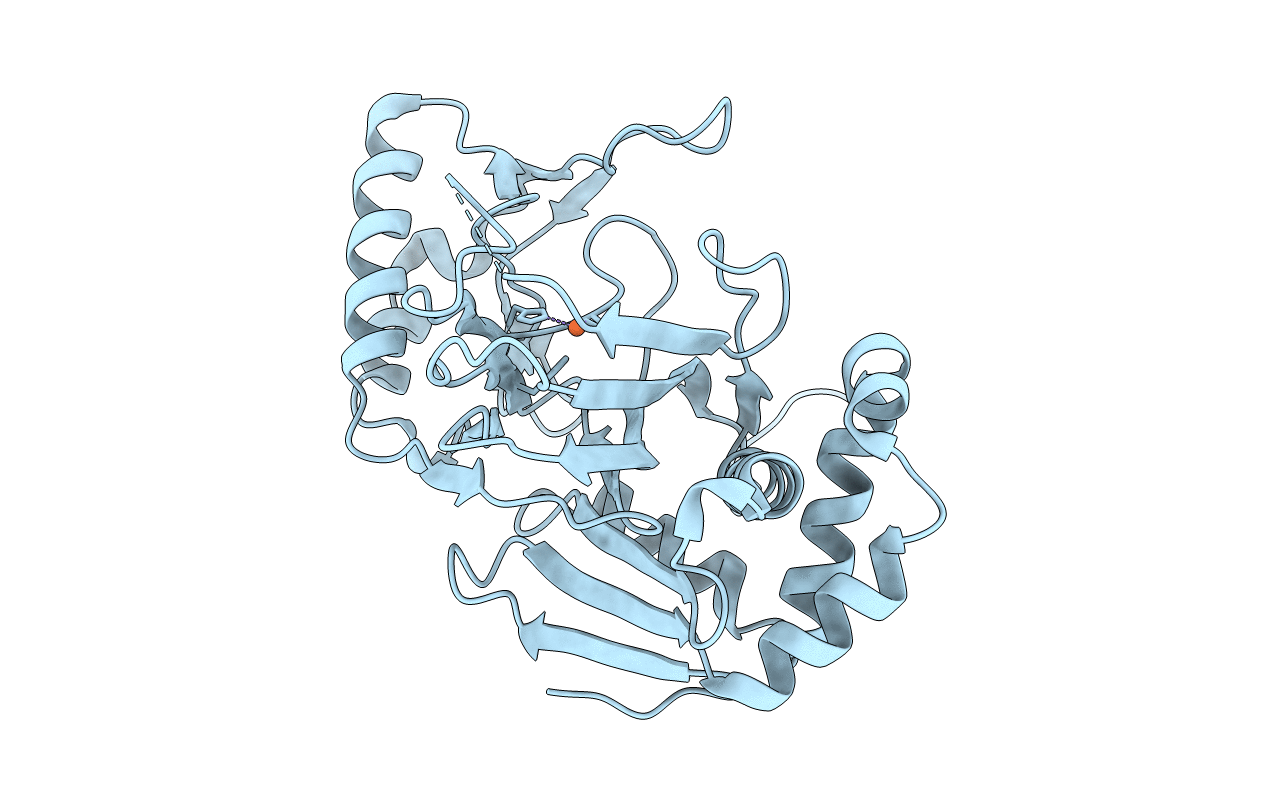 1JR7 image