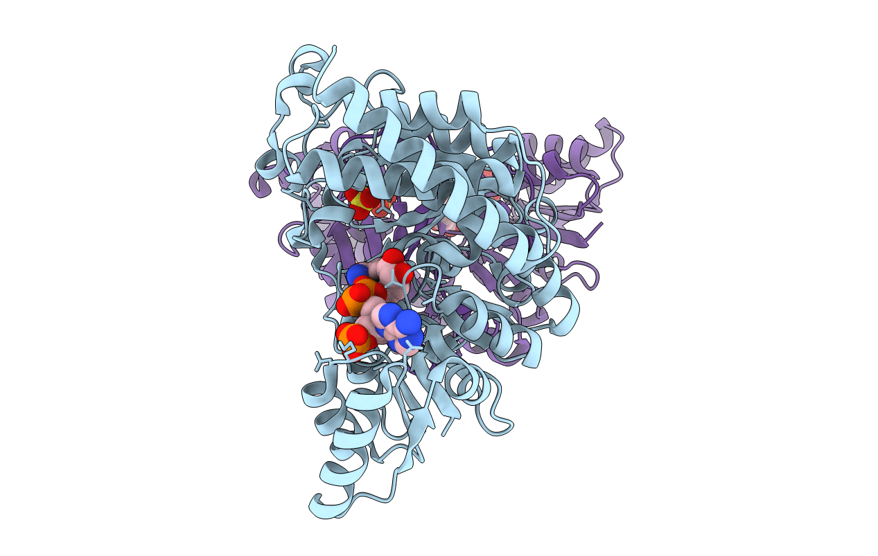 1JVS image