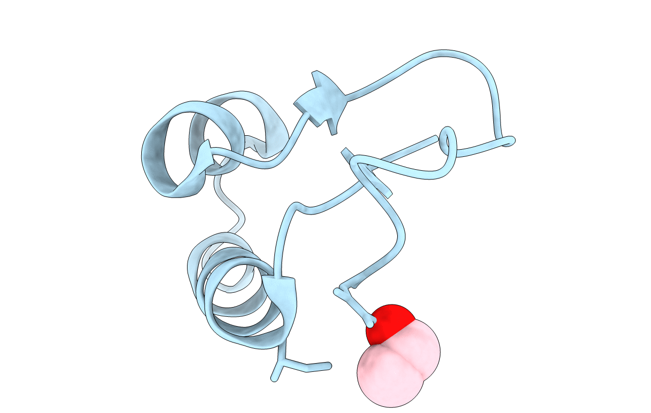 1JXT image