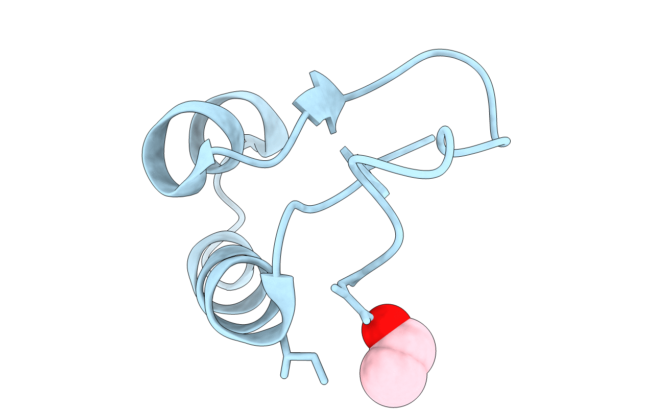 1JXU image