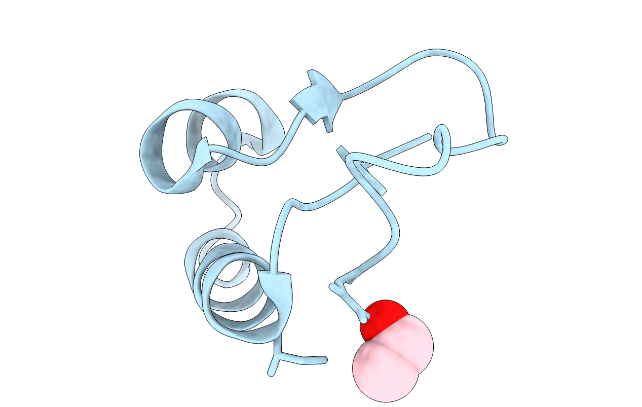 1JXX image