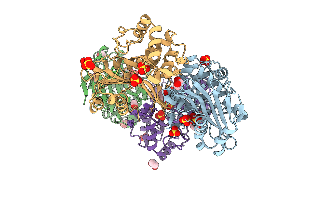 1K54 image
