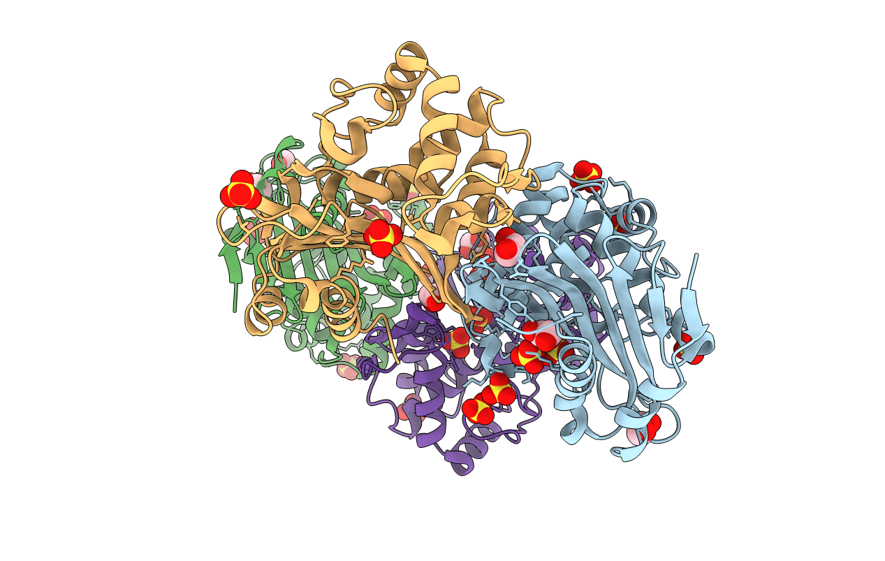 1K55 image