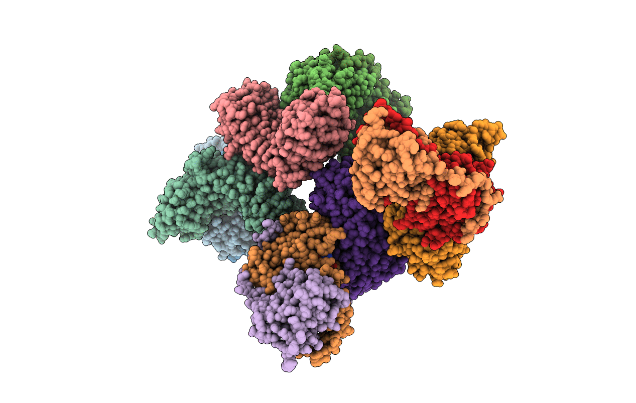 1K5D image