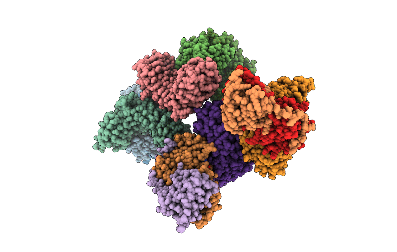 1K5G image