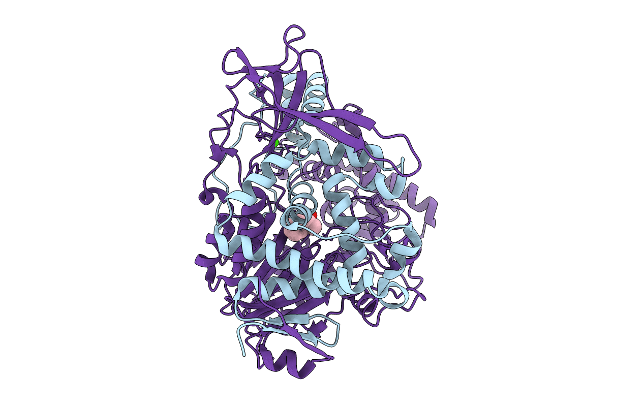 1K5S image