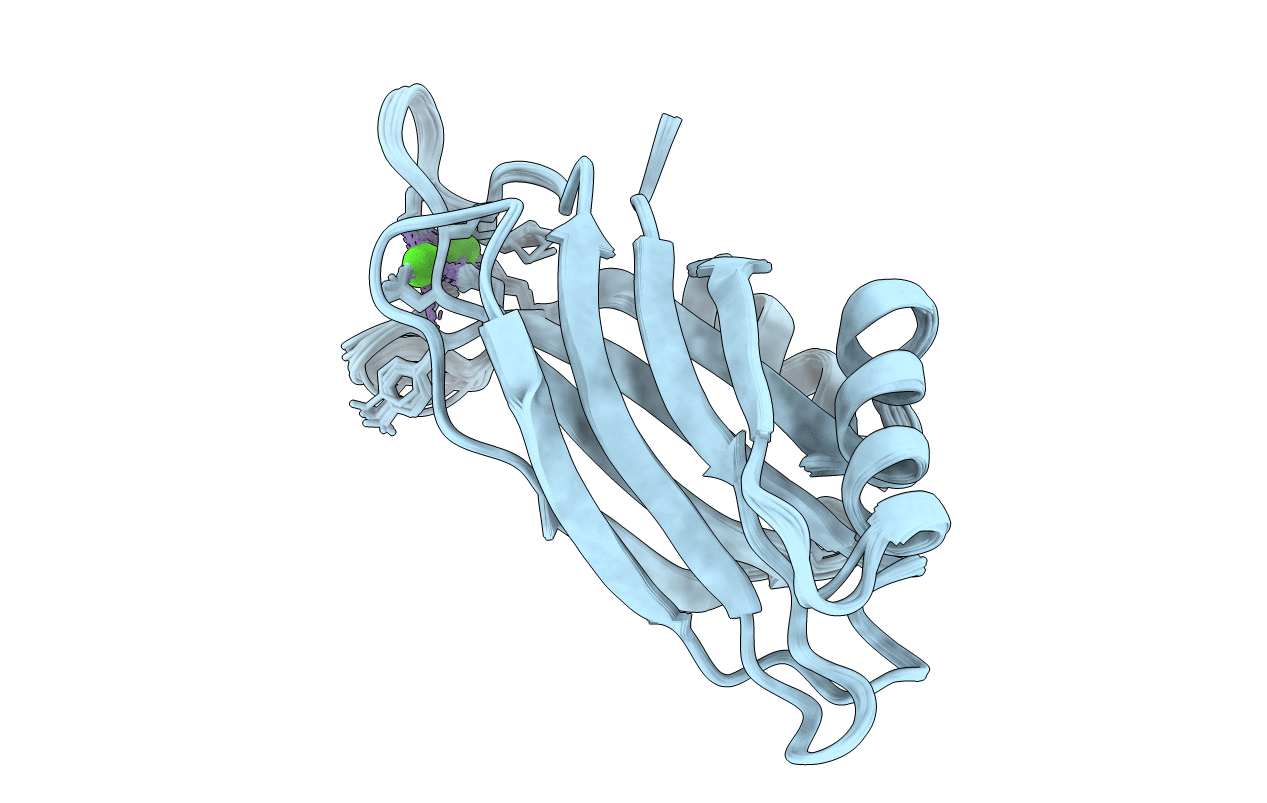 1K5W image