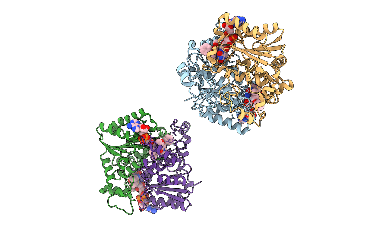 1KBO image