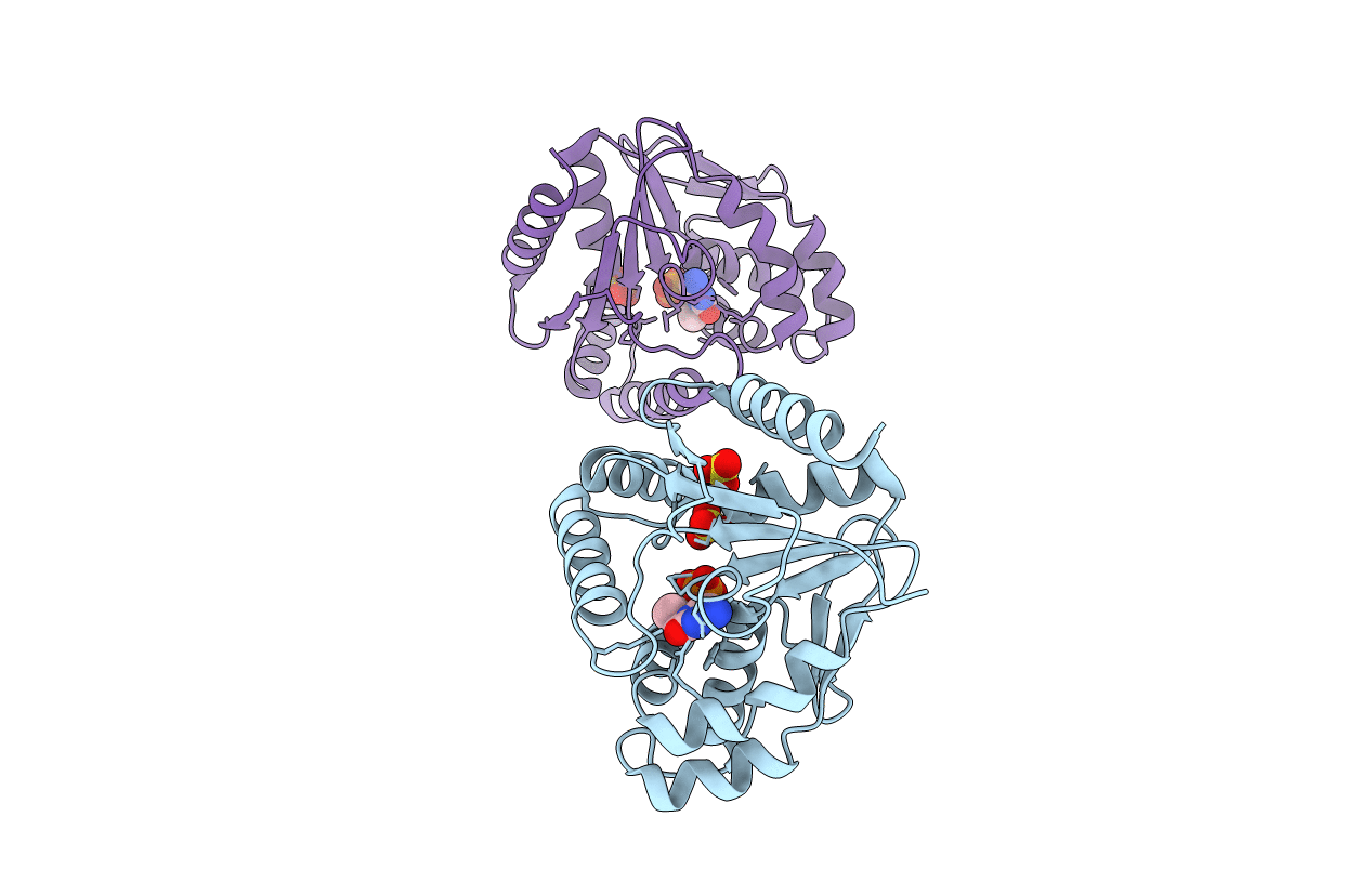 1KDT image