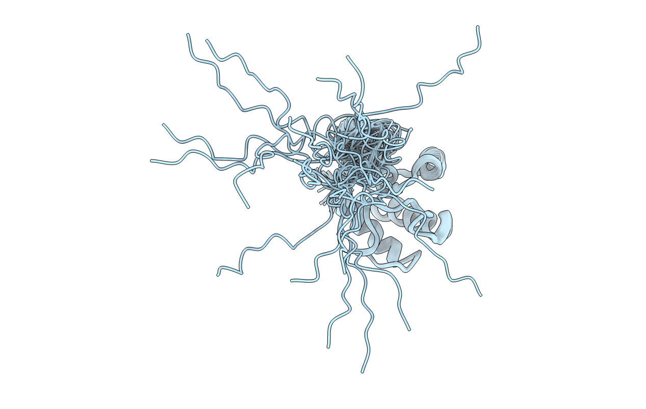 1KLP image