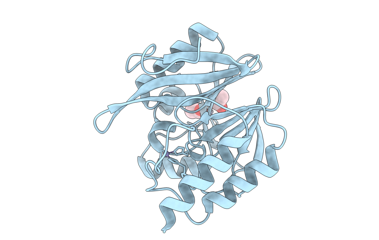 1KO2 image