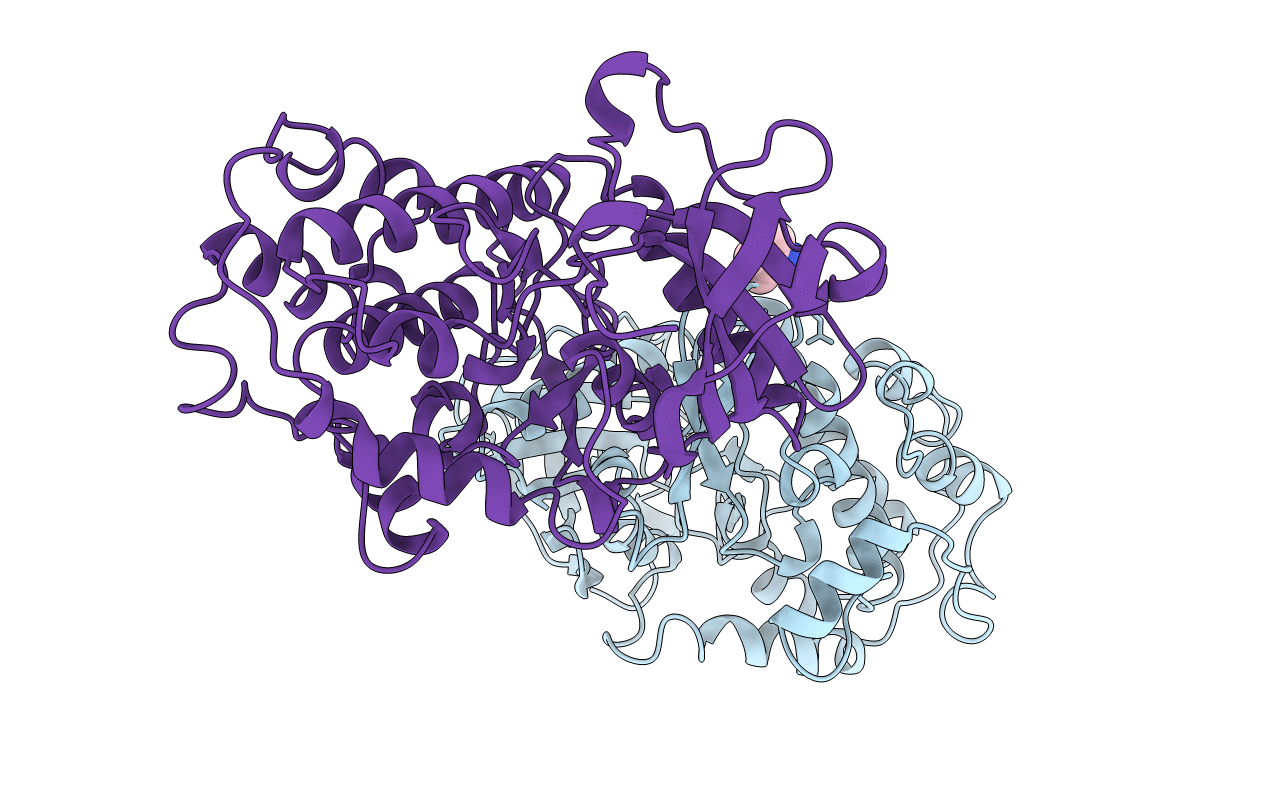 1KOB image