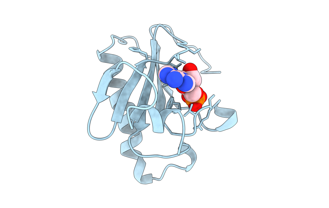 1KPF image