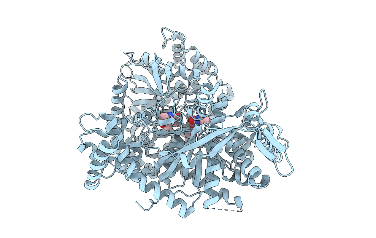 1KTI image
