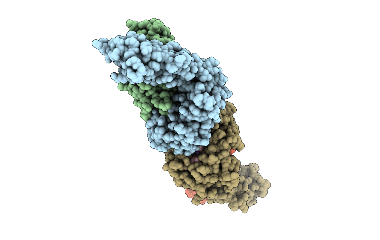 1KTL image