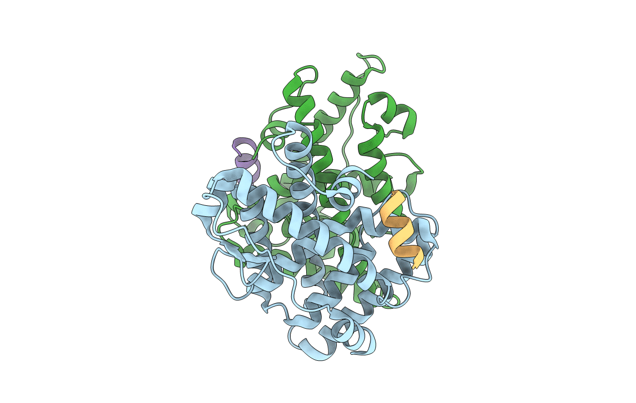 1KV6 image