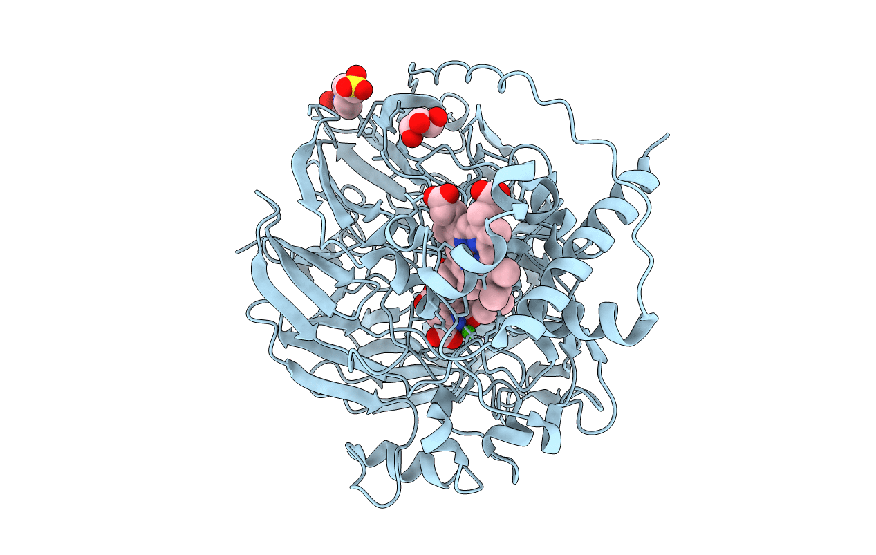 1KV9 image