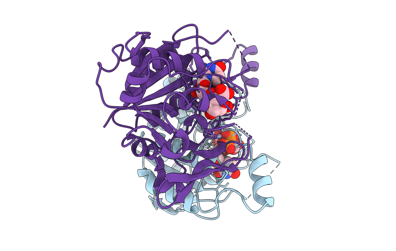 1KWS image