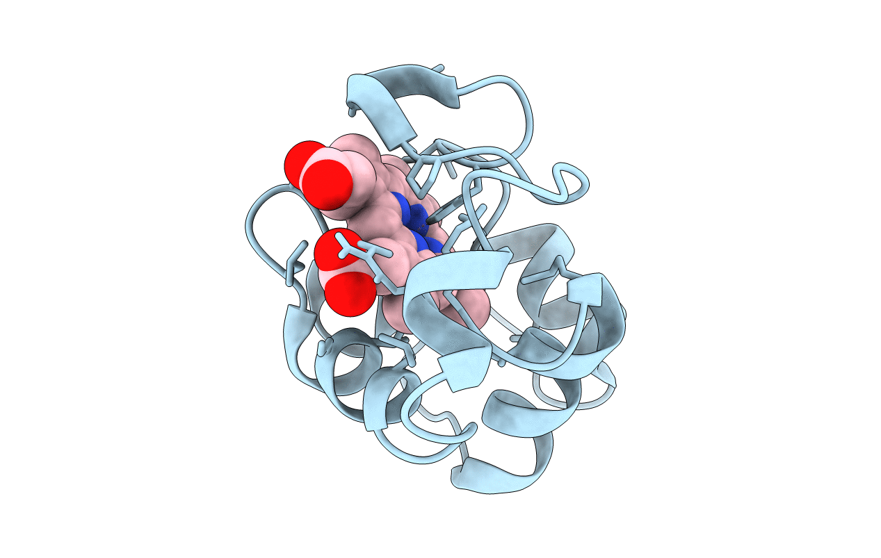 1KX2 image