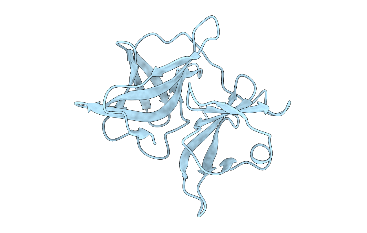 1KXC image