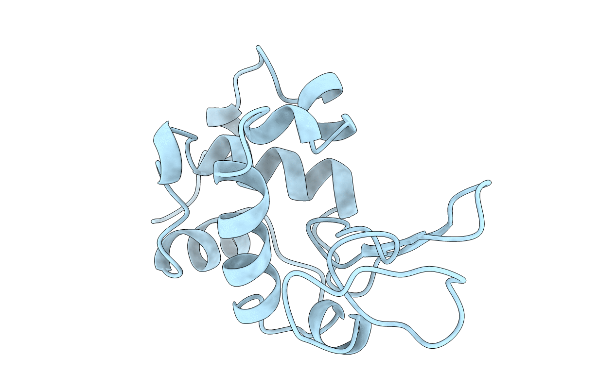 1KXX image