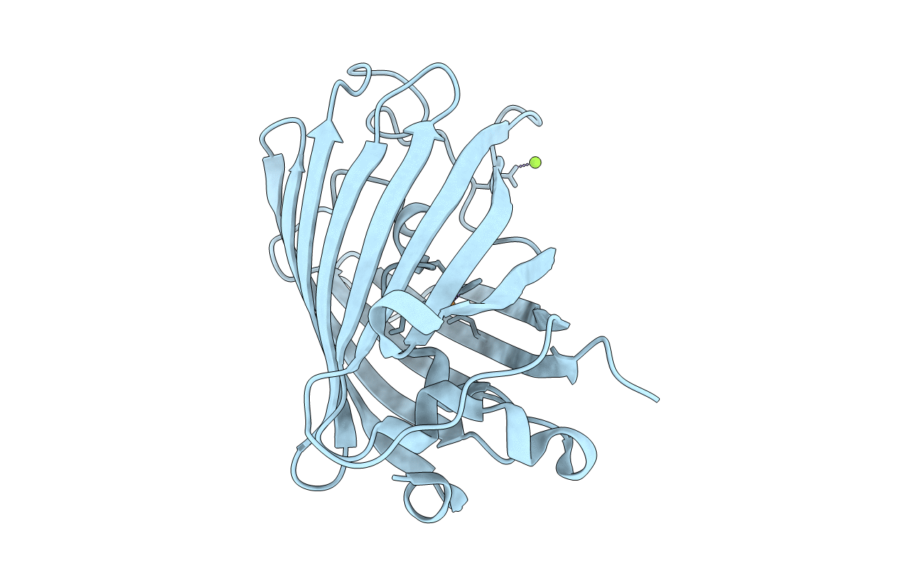 1KYR image