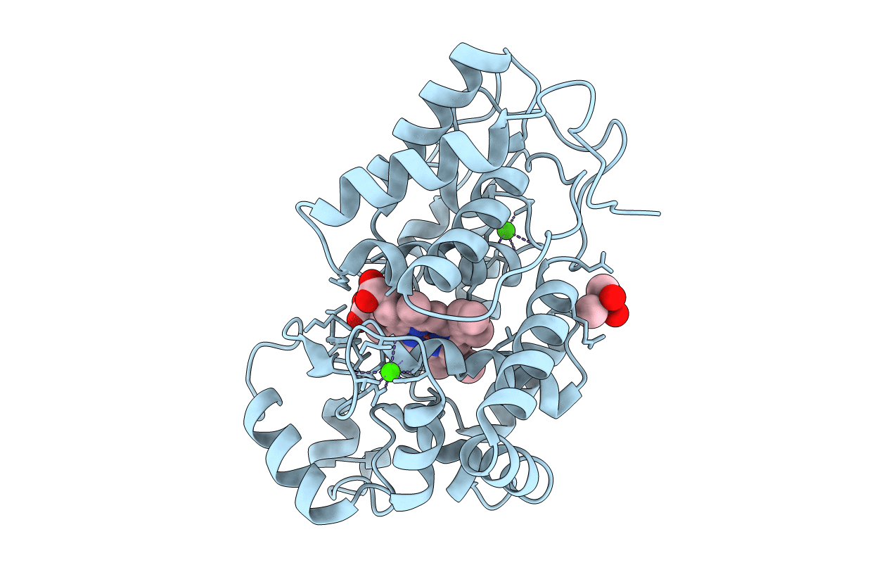 1KZM image