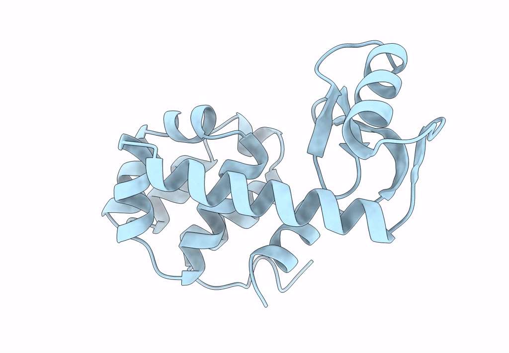 1L10 image