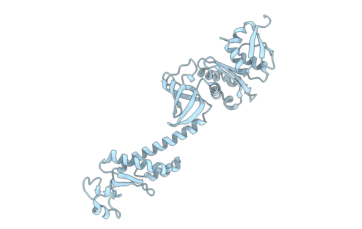 1L2F image