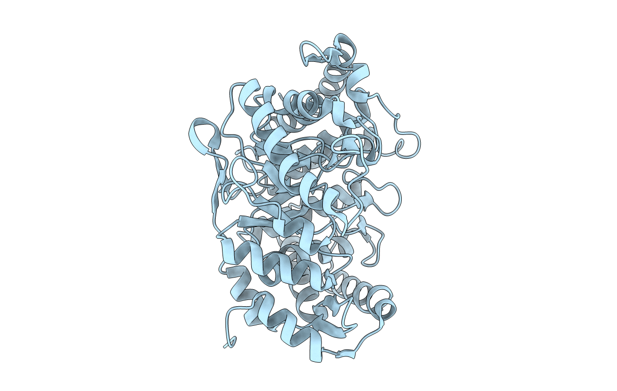 1L2Q image