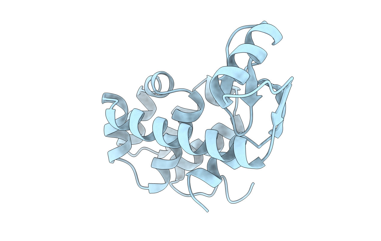 1L37 image