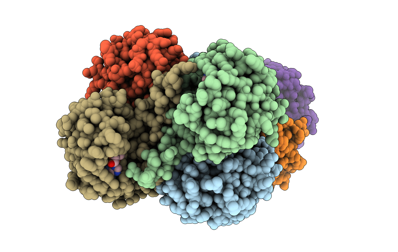 1L3I image