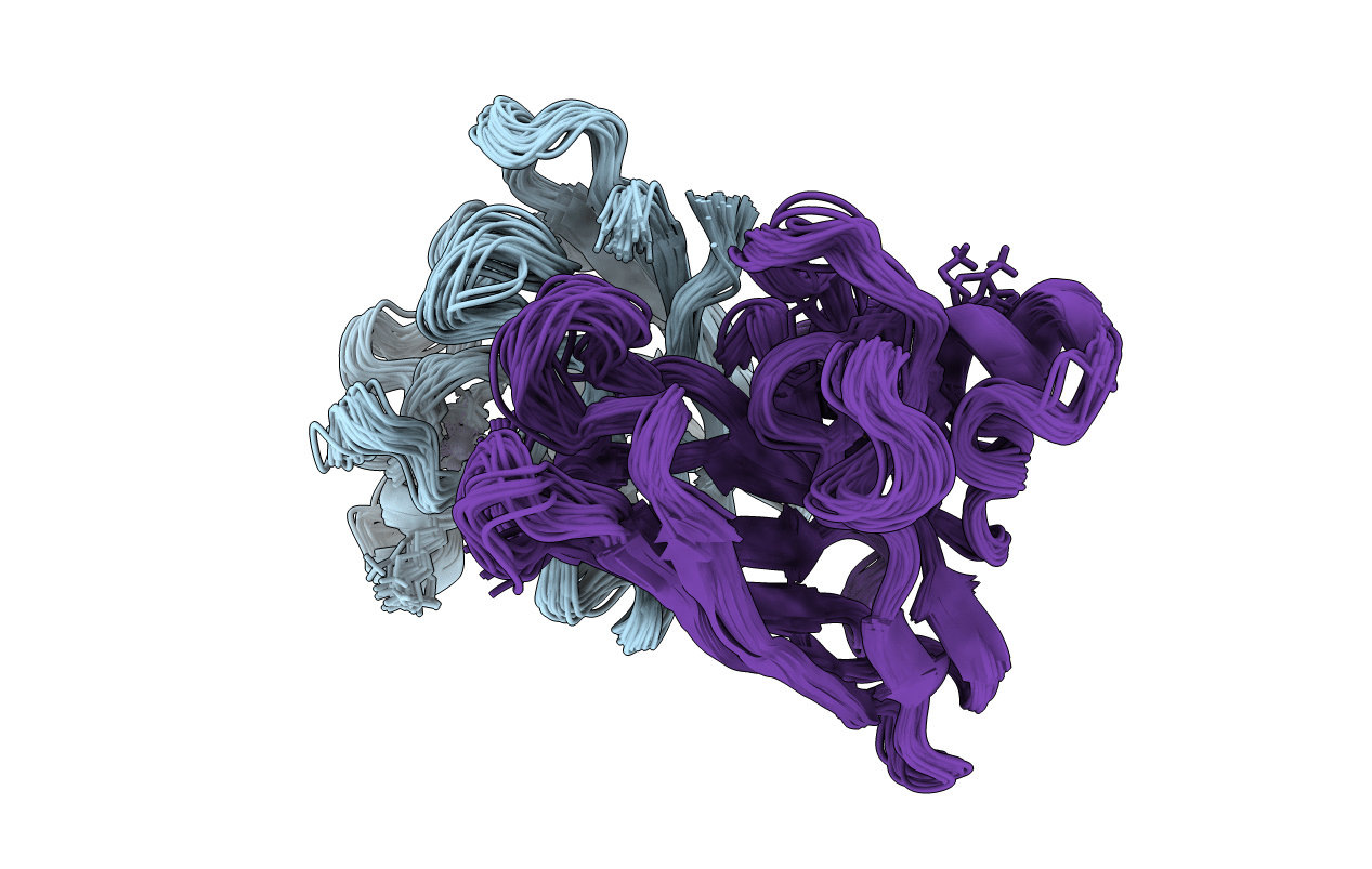 1L3N image