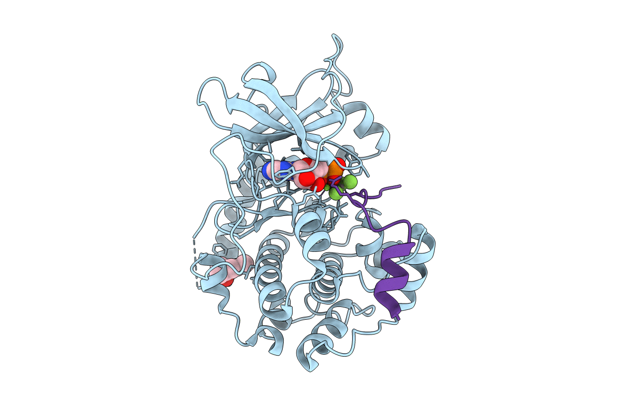 1L3R image
