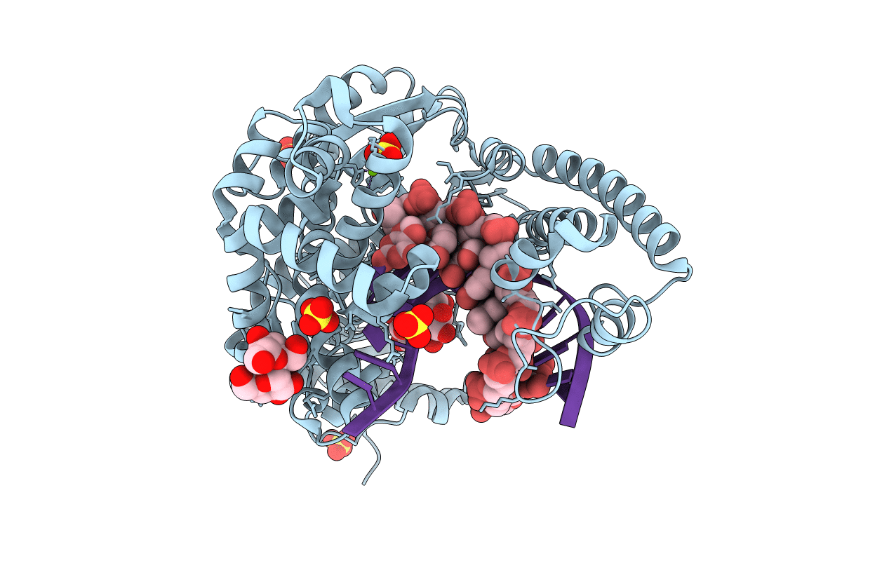 1L3S image