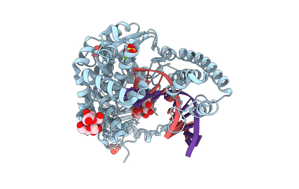 1L3U image