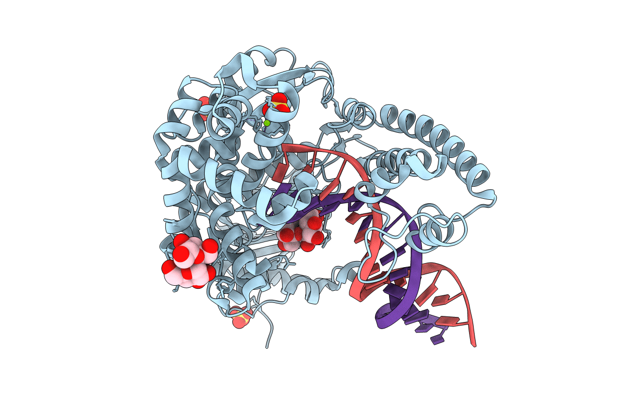 1L3V image