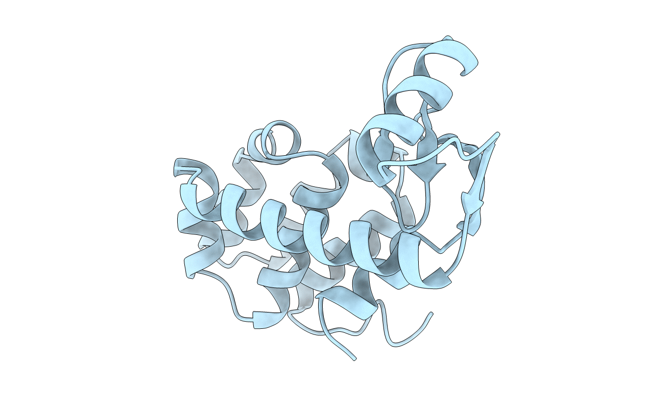 1L41 image