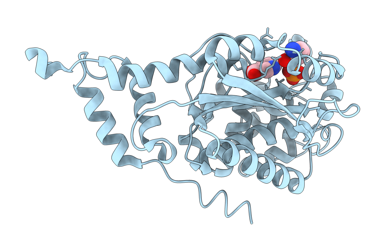 1L4N image