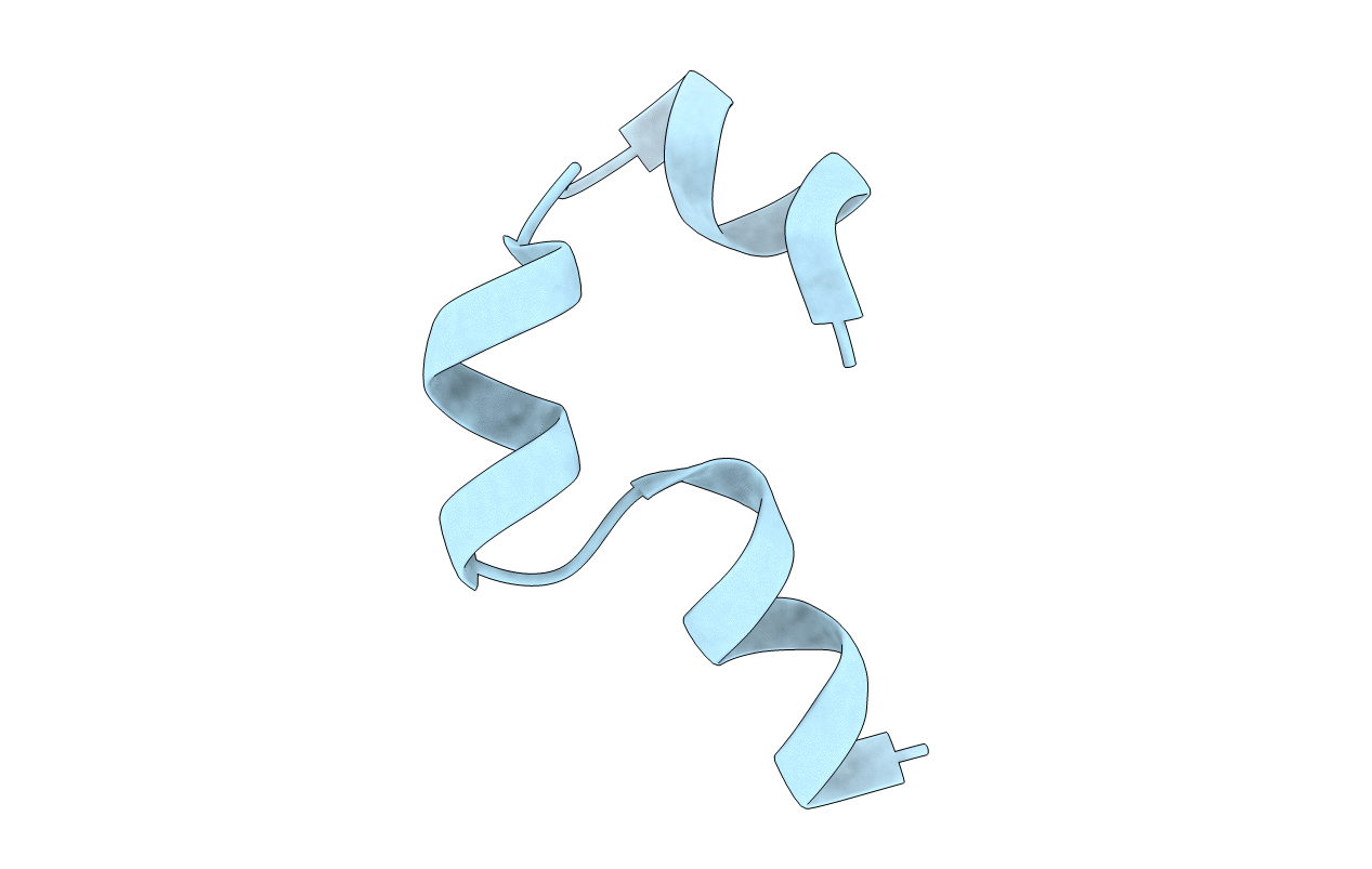 1L4T image